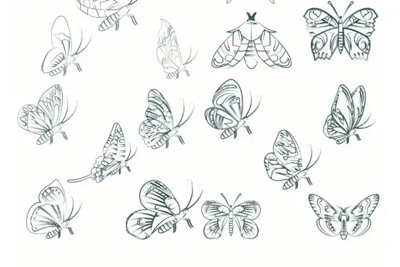 100 Procreate Butterflies Stamp Brush 4 100 procreate butterflies stamp brush (10) 380