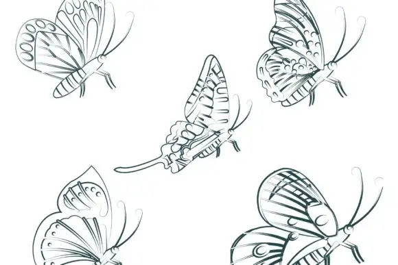 100 Procreate Butterflies Stamp Brush 5 100 procreate butterflies stamp brush (3) 380