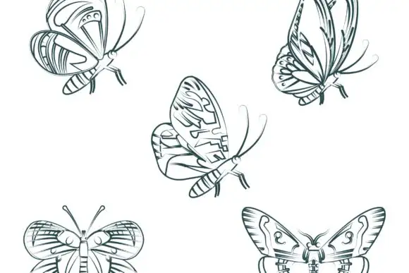 100 Procreate Butterflies Stamp Brush 6 100 procreate butterflies stamp brush (4) 380