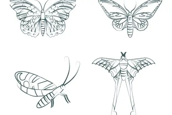 100 Procreate Butterflies Stamp Brush 7 100 procreate butterflies stamp brush (6) 380