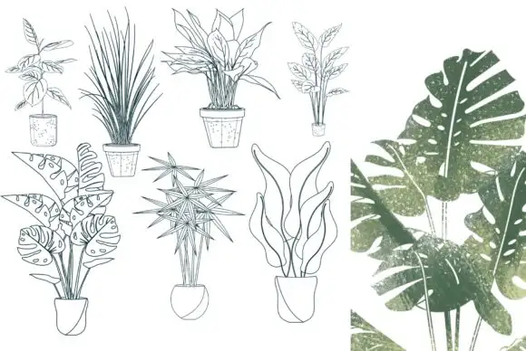 50 Procreate Potted Plant Stamps 5 50 procreate potted plant stamps (4) 380