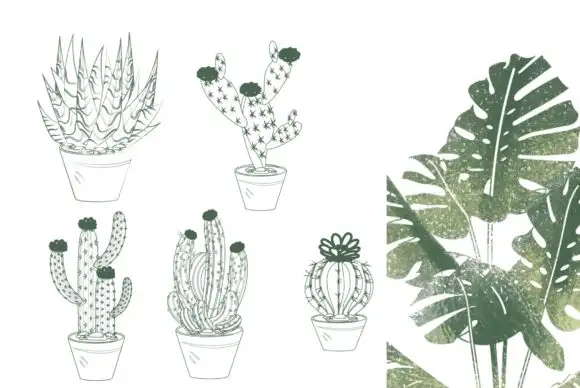 50 Procreate Potted Plant Stamps 9 50 procreate potted plant stamps (6) 380