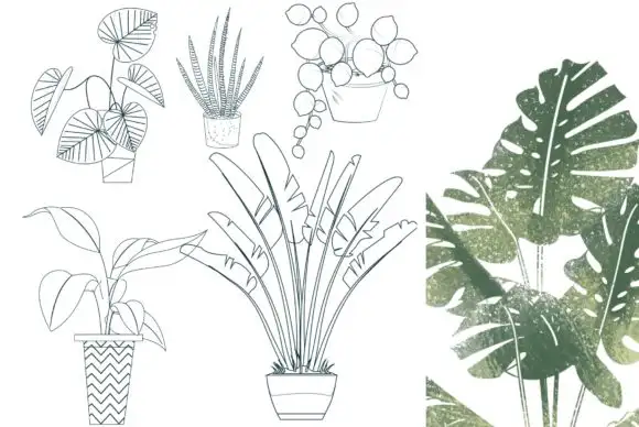 50 Procreate Potted Plant Stamps 7 50 procreate potted plant stamps (7) 380