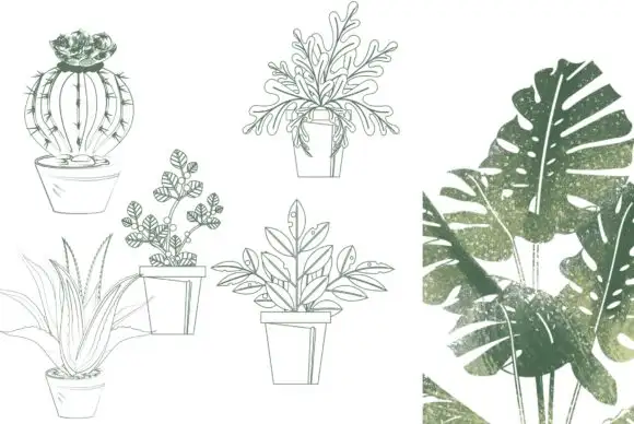 50 Procreate Potted Plant Stamps 8 50 procreate potted plant stamps (8) 380