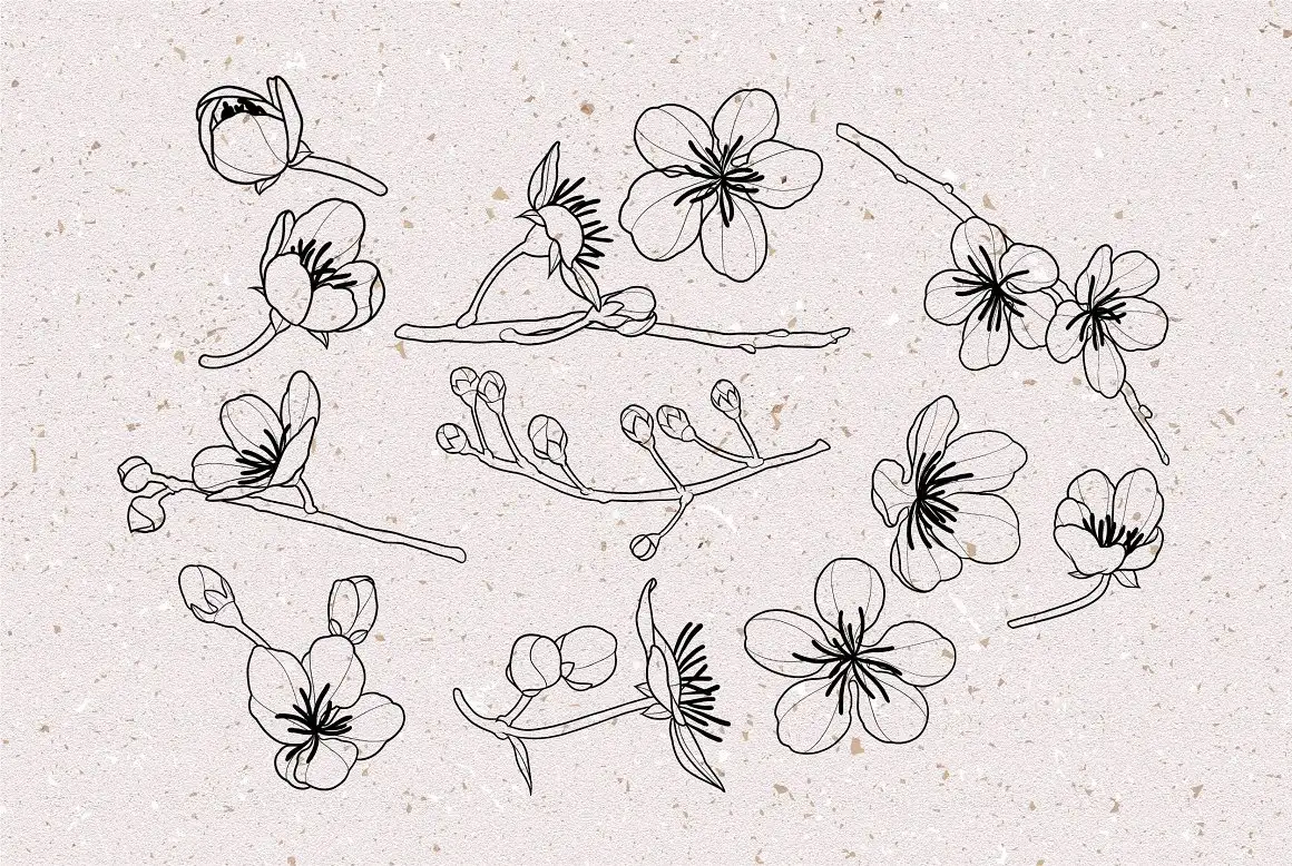 Cherry Blossom Stamps - Brushes for Procreate 6 06380