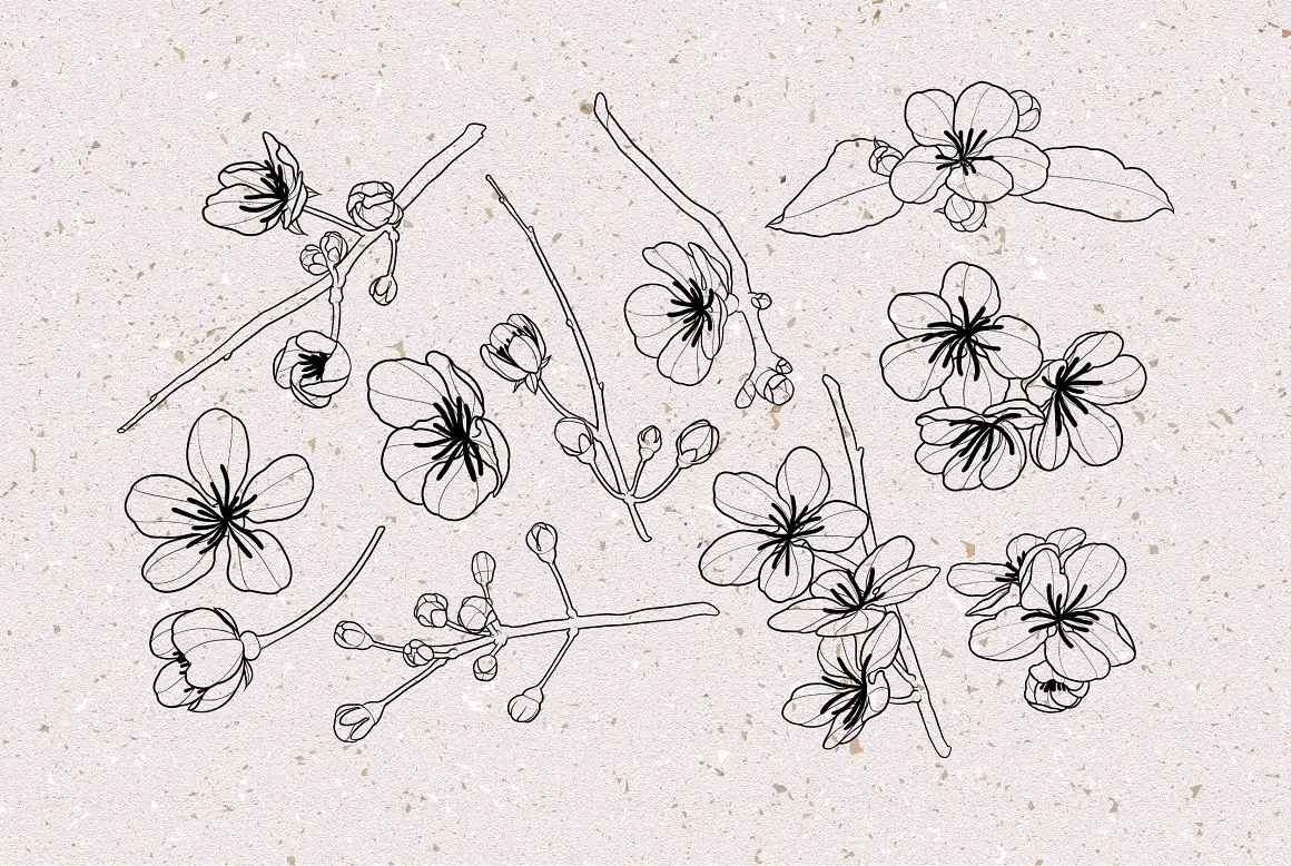 Cherry Blossom Stamps - Brushes for Procreate 5 06380