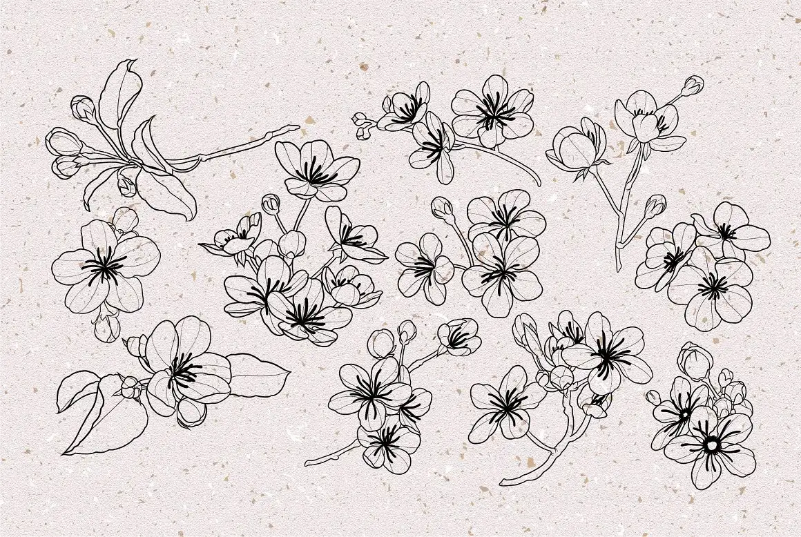 Cherry Blossom Stamps - Brushes for Procreate 3 06380