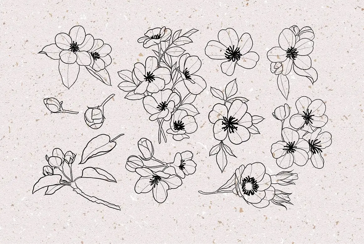 Cherry Blossom Stamps - Brushes for Procreate 4 06380