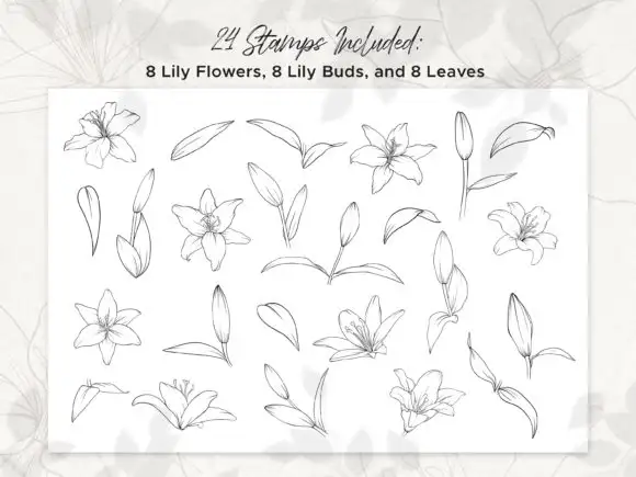 Lily Procreate Stamp Brushes 3 061005