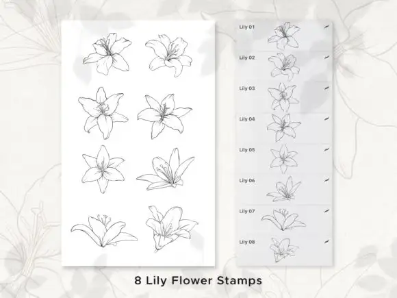 Lily Procreate Stamp Brushes 4 061005