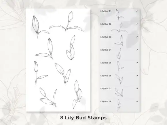 Lily Procreate Stamp Brushes 6 061005