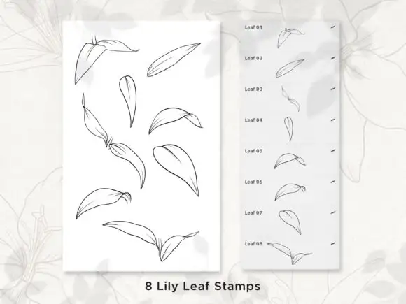 Lily Procreate Stamp Brushes 5 061005