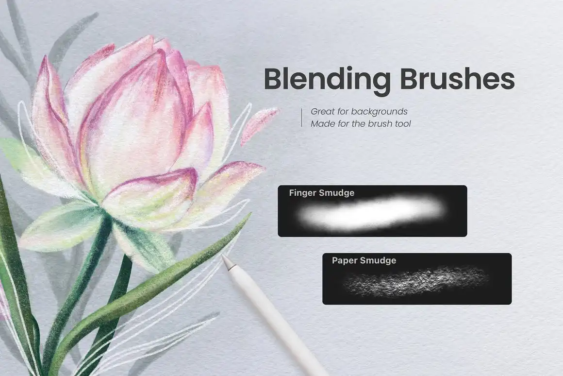 Pastel & Chalk Brushes • Procreate 8 06699