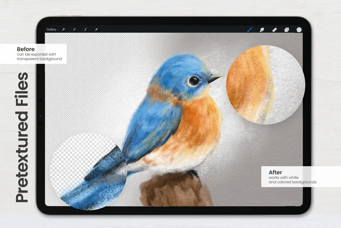 Pastel & Chalk Brushes • Procreate 7 06706