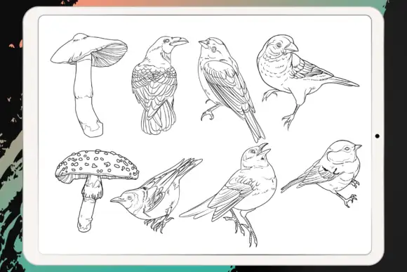 Procreate - Tattoo Basic Stencil Set 13 06380