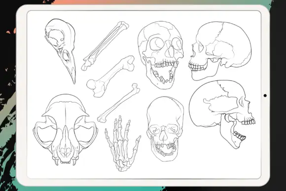 Procreate - Tattoo Basic Stencil Set 16 06380