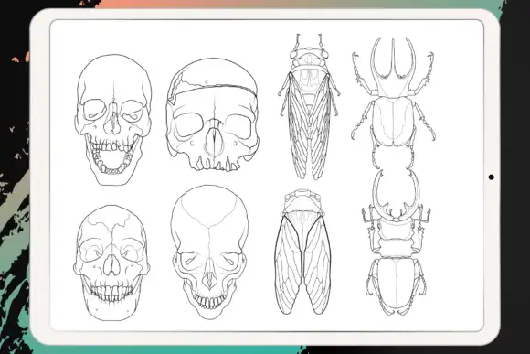 Procreate - Tattoo Basic Stencil Set 15 06380