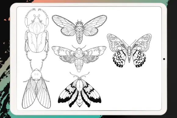 Procreate - Tattoo Basic Stencil Set 12 06380