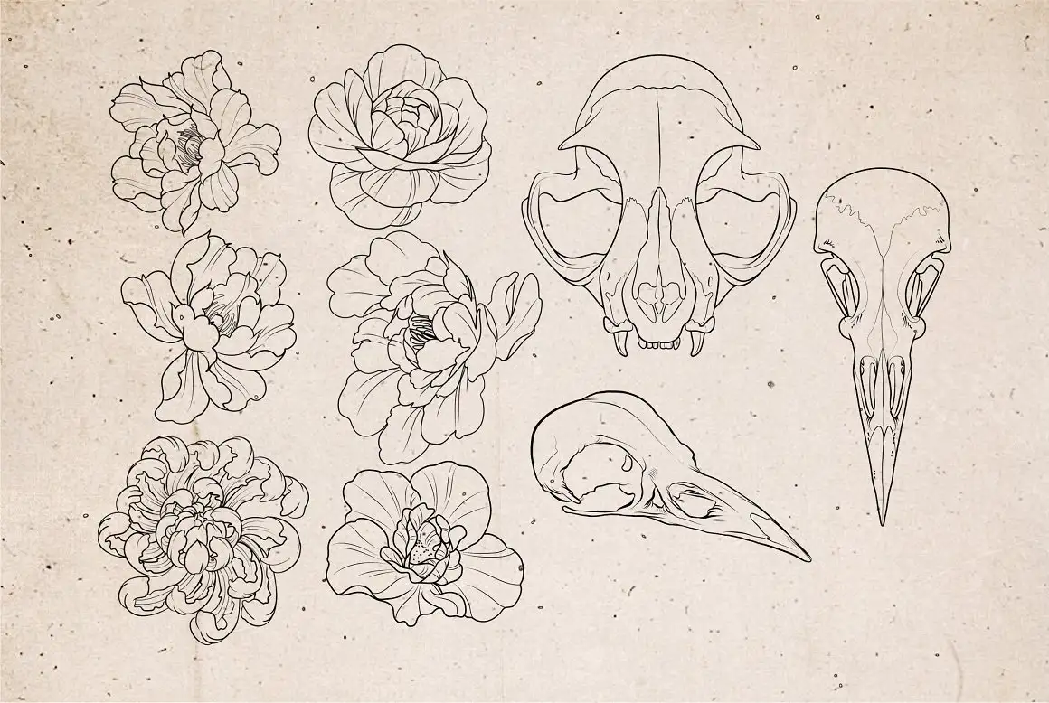 Procreate - Tattoo Basic Stencil Set 7 06380