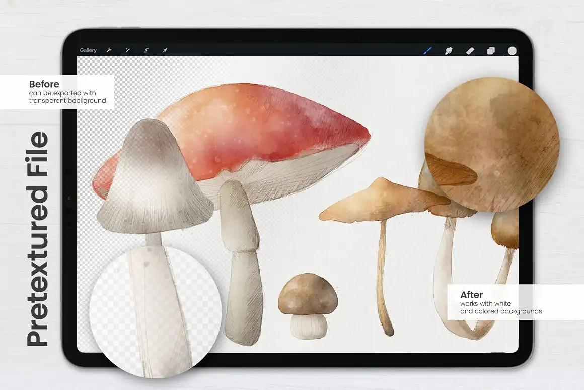 Watercolor Brushes • Procreate 3 06719