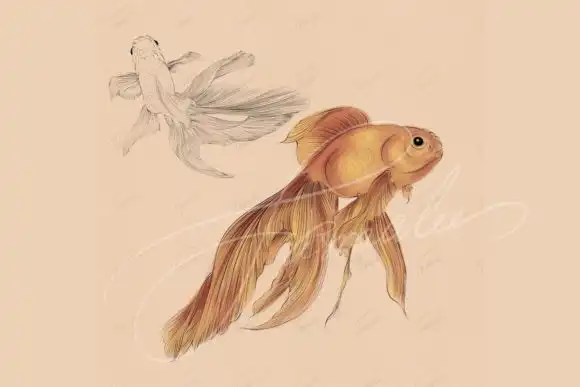 Fish Stamp Procreate Brush 4 fish stamp procreate brush graphics 7276174 3 580x387 380