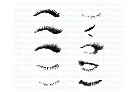 20 Eyelashes Brushes for Procreate 7 074029