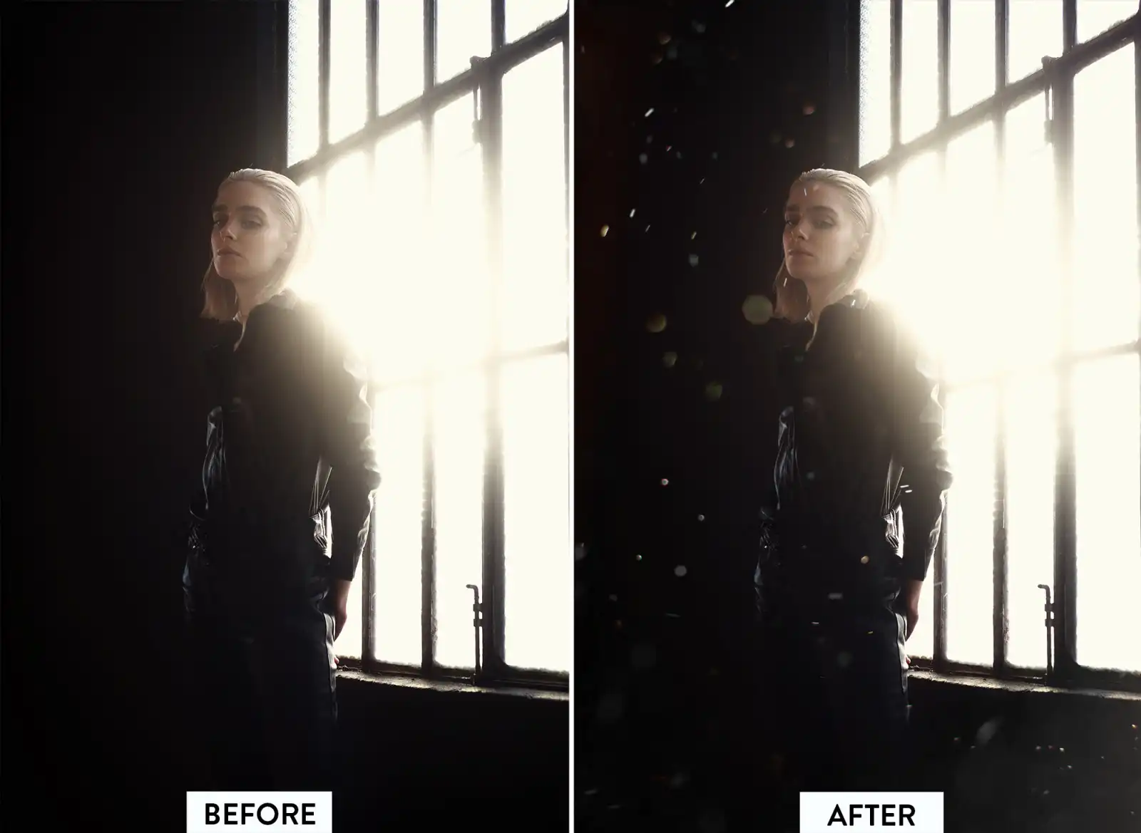 30 Dust Particles Overlays 4 074029