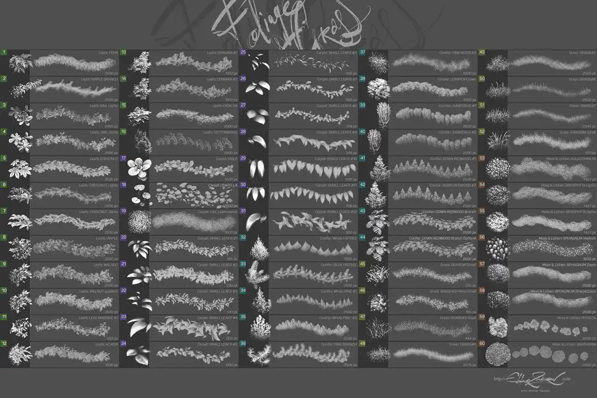 60 Photoshop Foliage & Grass brushes 3 072507