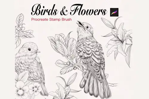 Birds and Flowers Stamp for Procreate
