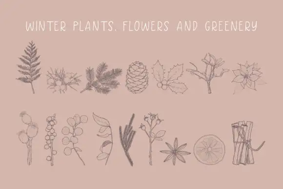 Christmas Botanicals Procreate Brushes 5 074029