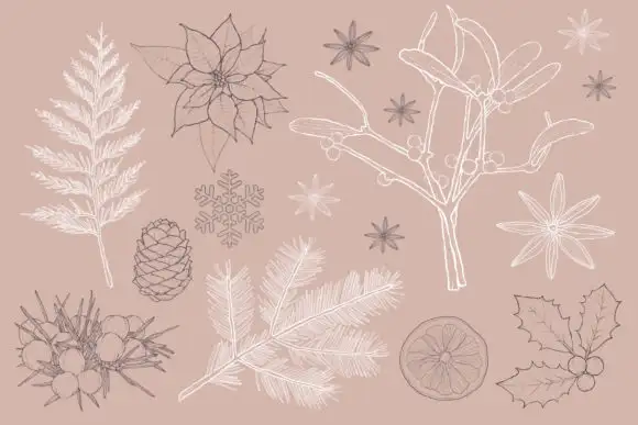Christmas Botanicals Procreate Brushes 3 074029