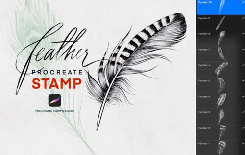 Feather Procreate Stamp Brush