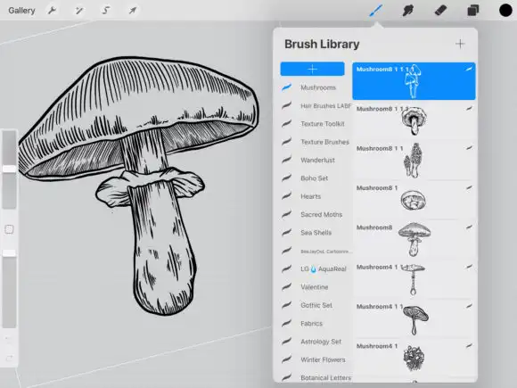 Mushrooms autumn brushes Procreate 4 074048