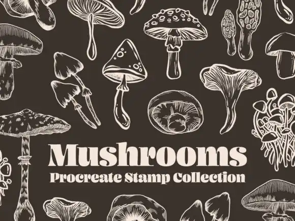 Mushrooms autumn brushes Procreate