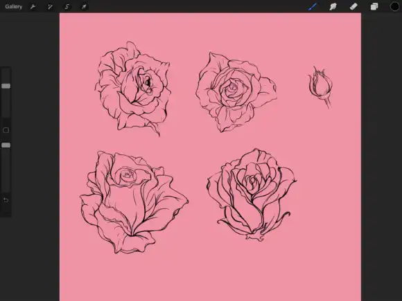 Procreate Brush Stamp - Roses Valentine 18 074412