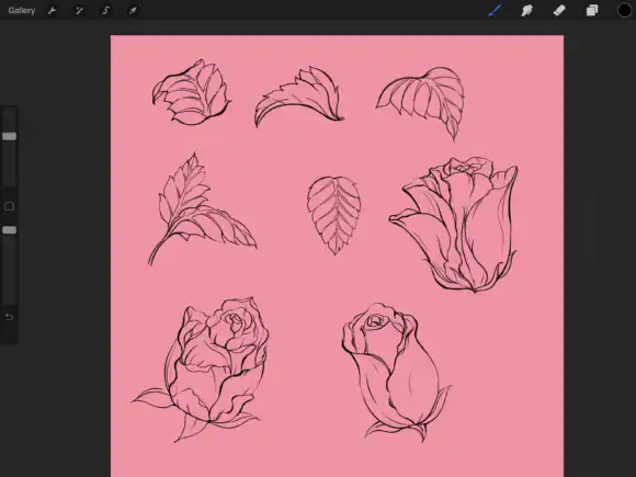 Procreate Brush Stamp - Roses Valentine 19 074412