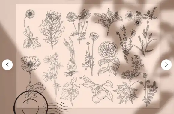 Procreate Stamp Set Botanic Flower 3 074059