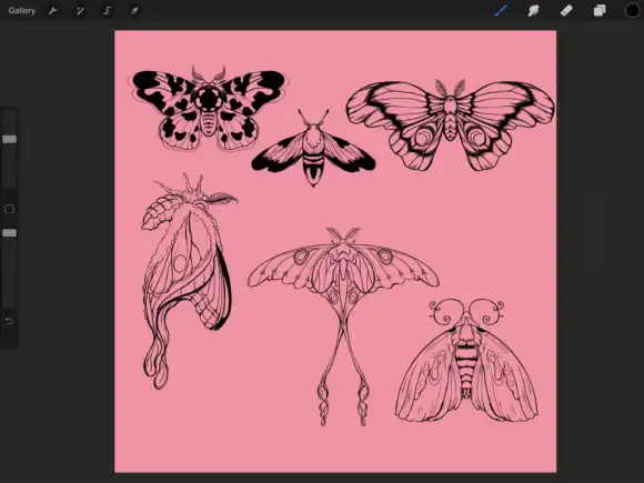 Procreate-Tattoo 12 Butterfly Stamps 2 074412