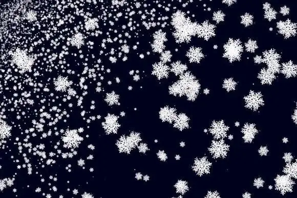 Procreate Winter Realistic Forest Brush 4 074029