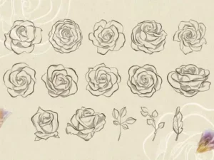 Roses Procreate Stamp Brushes | Aura Marina Studio
