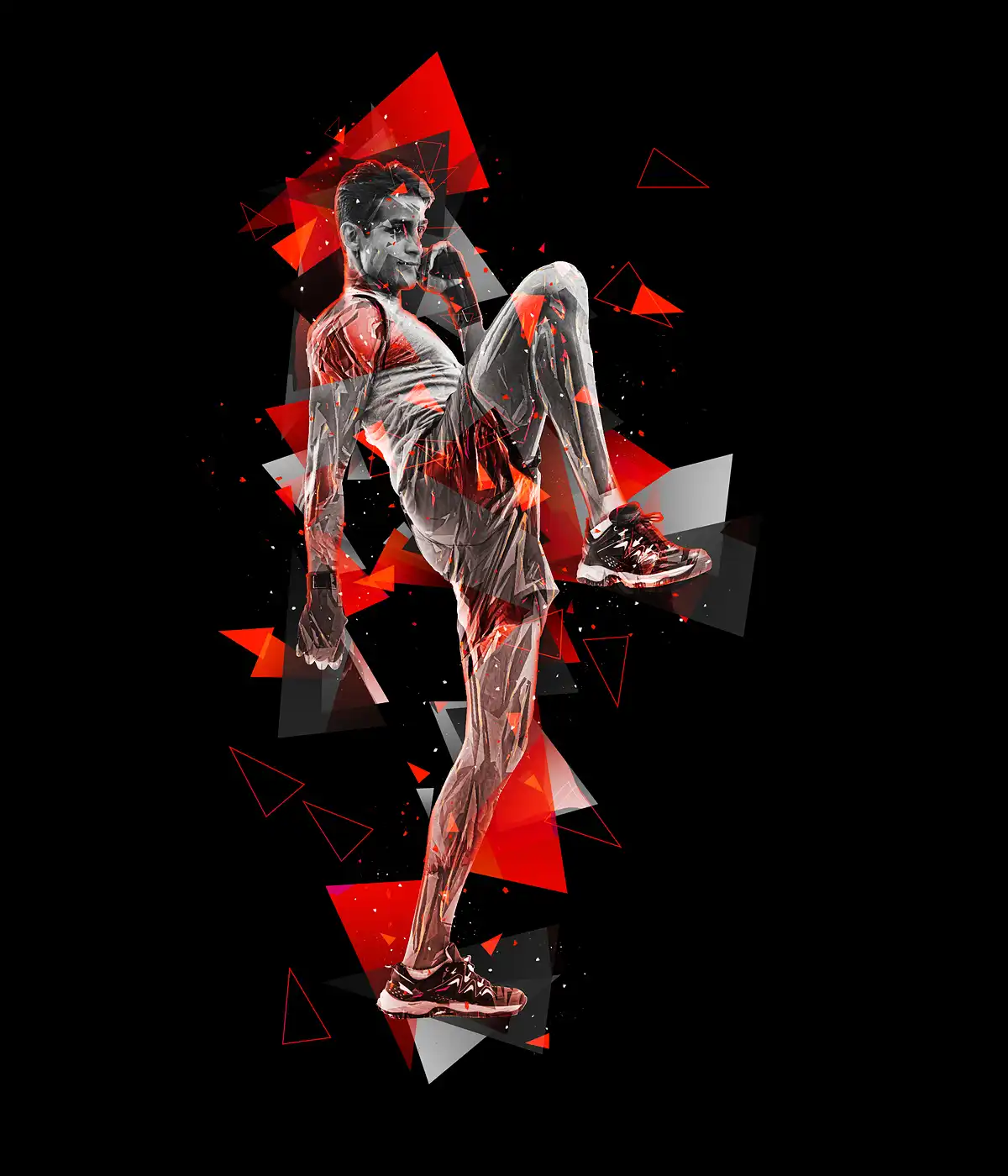 Triangles Photoshop Action 3 074029