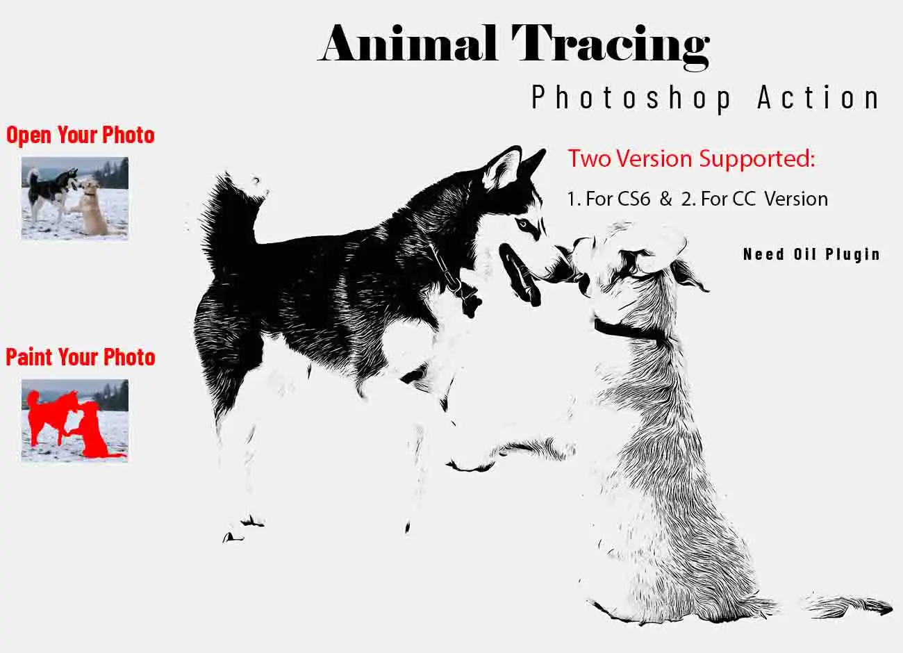 Animal Tracing Photoshop Action