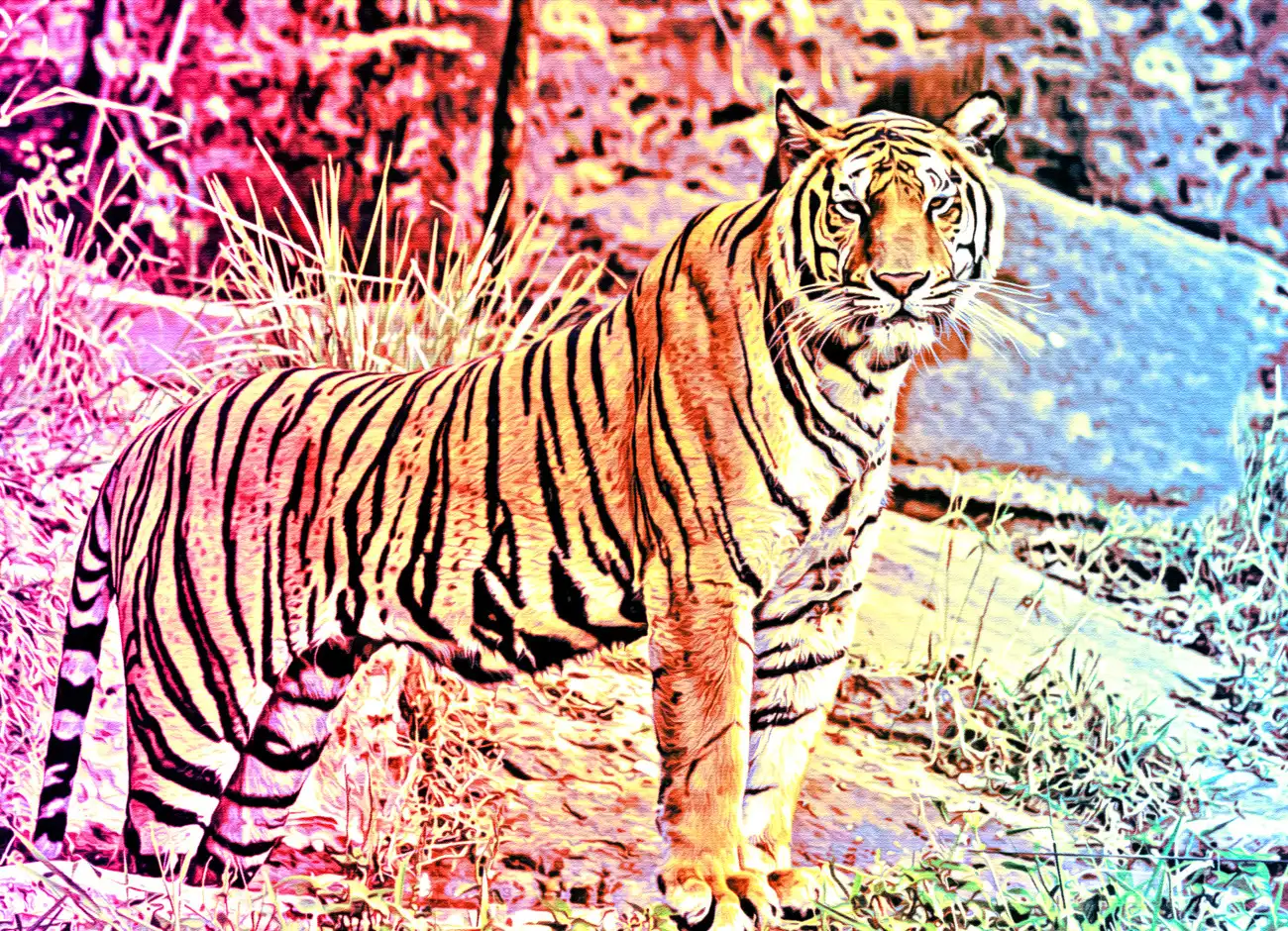 Color Gradient Photoshop Action 3 076315