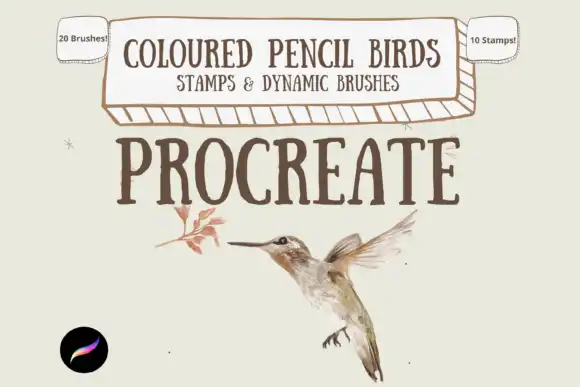 Colour Pencil Birds for Procreate