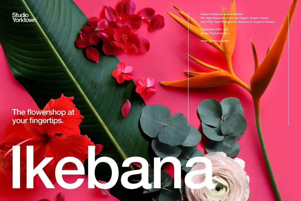 Ikebana Botanical Asset Collection
