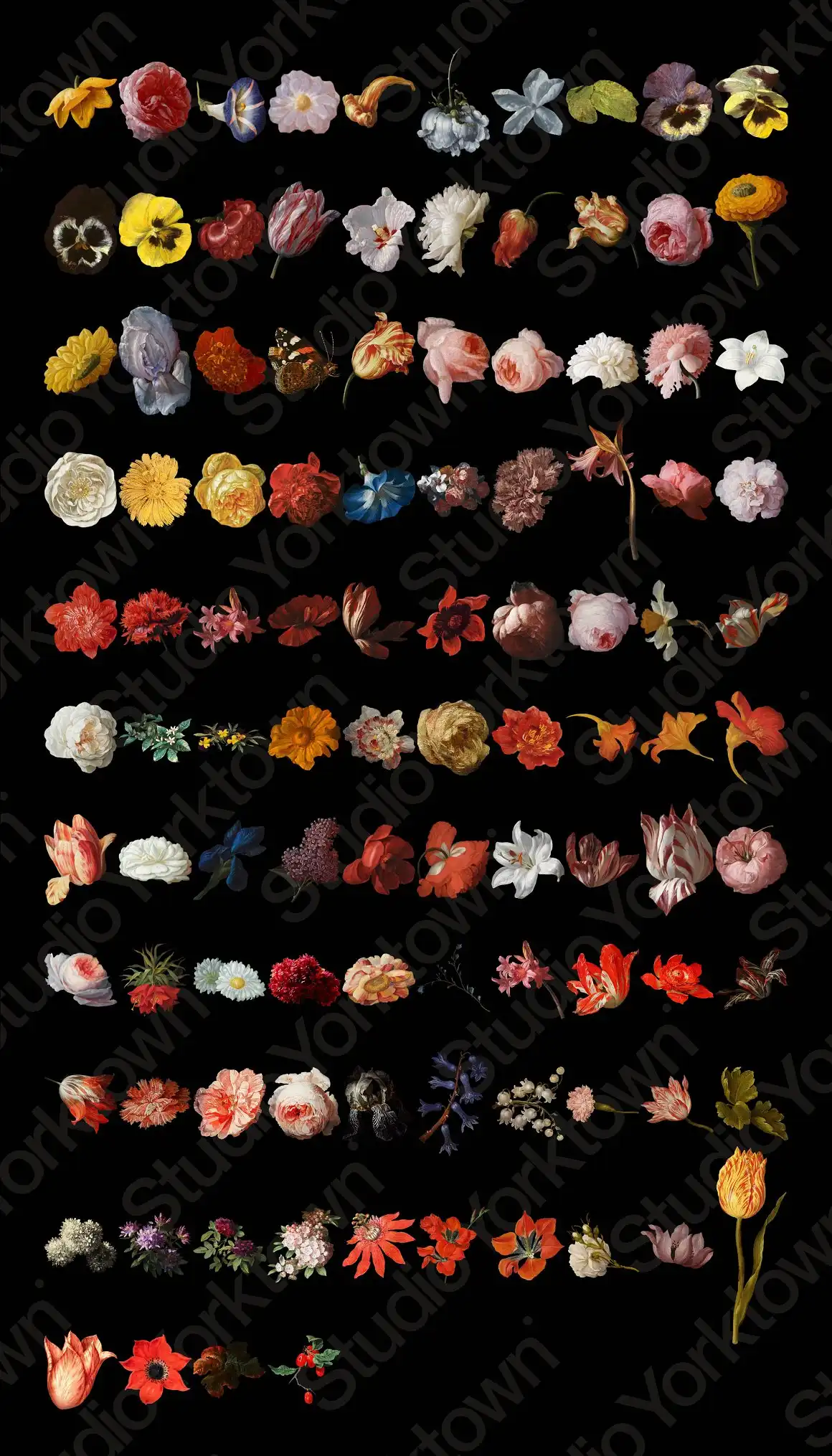 Kurohana Painted Florals Collection 3 074029