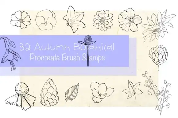 Procreate Brush Stamp Autumn Botanical