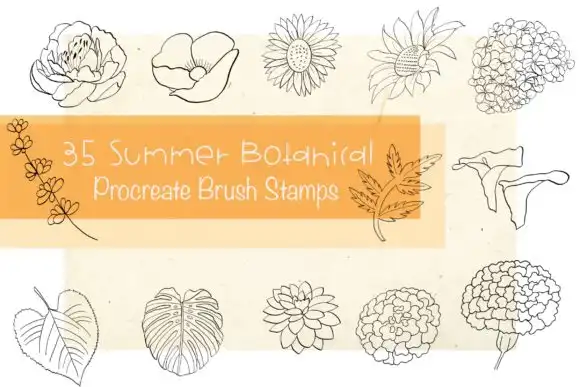 Procreate Brush Stamp Summer Botanical