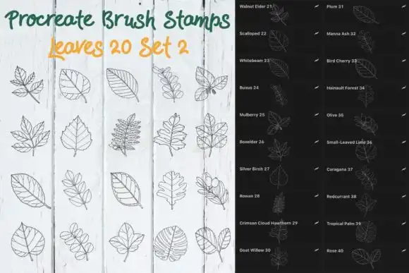 Procreate Brushes Stamp Leaves Set 2 4 073779