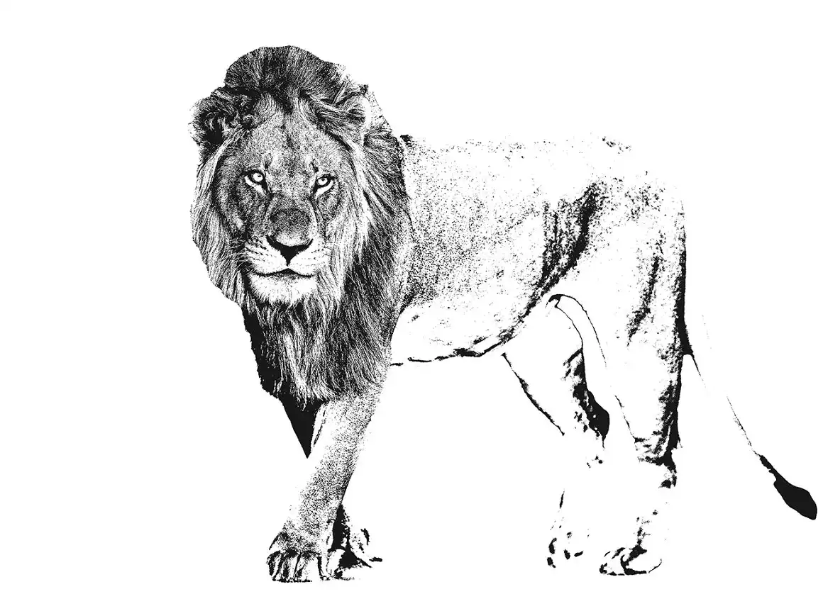 Pure Stencil Photoshop Action 8 078120